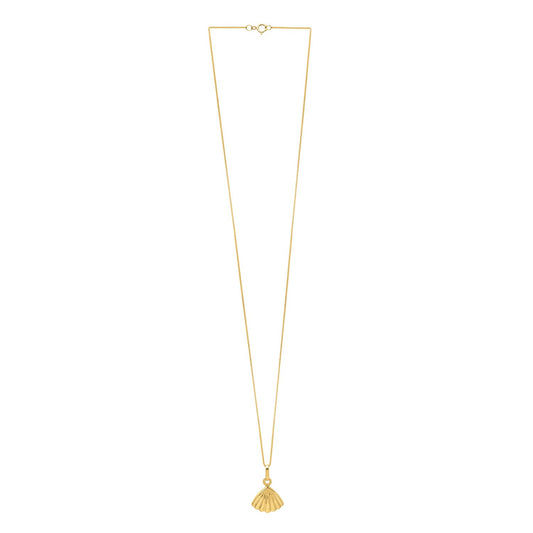 Sea Shell Necklace in 10K Yellow Gold