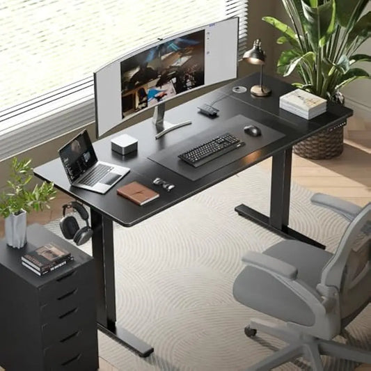 48x24 Electric Adjustable Desk