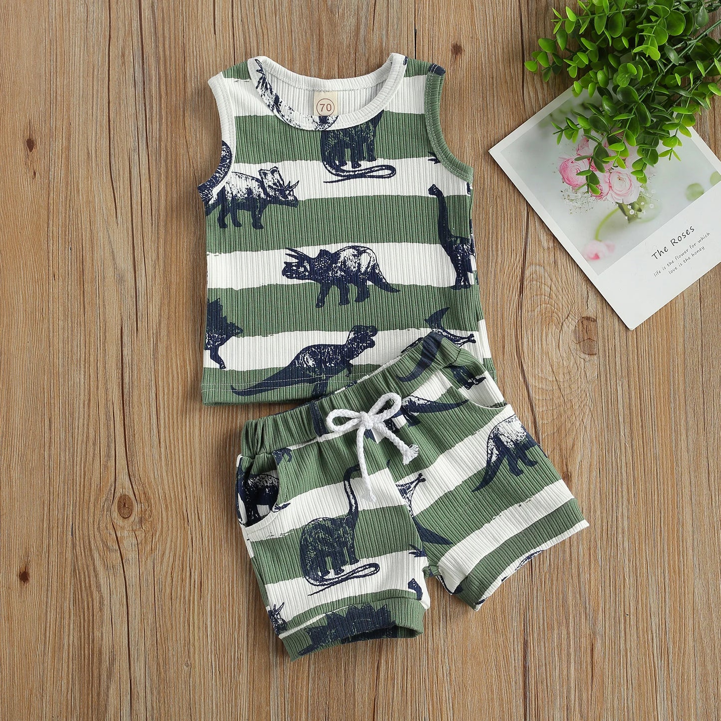 2Pcs Dino Set 0-24M
