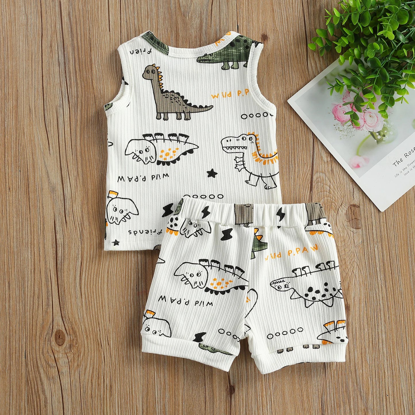 2Pcs Dino Set 0-24M