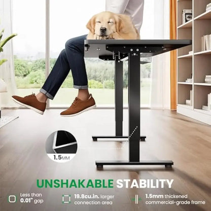 48x24 Electric Adjustable Desk