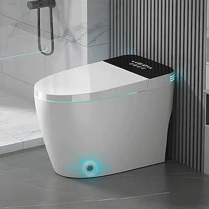 Smart toilet