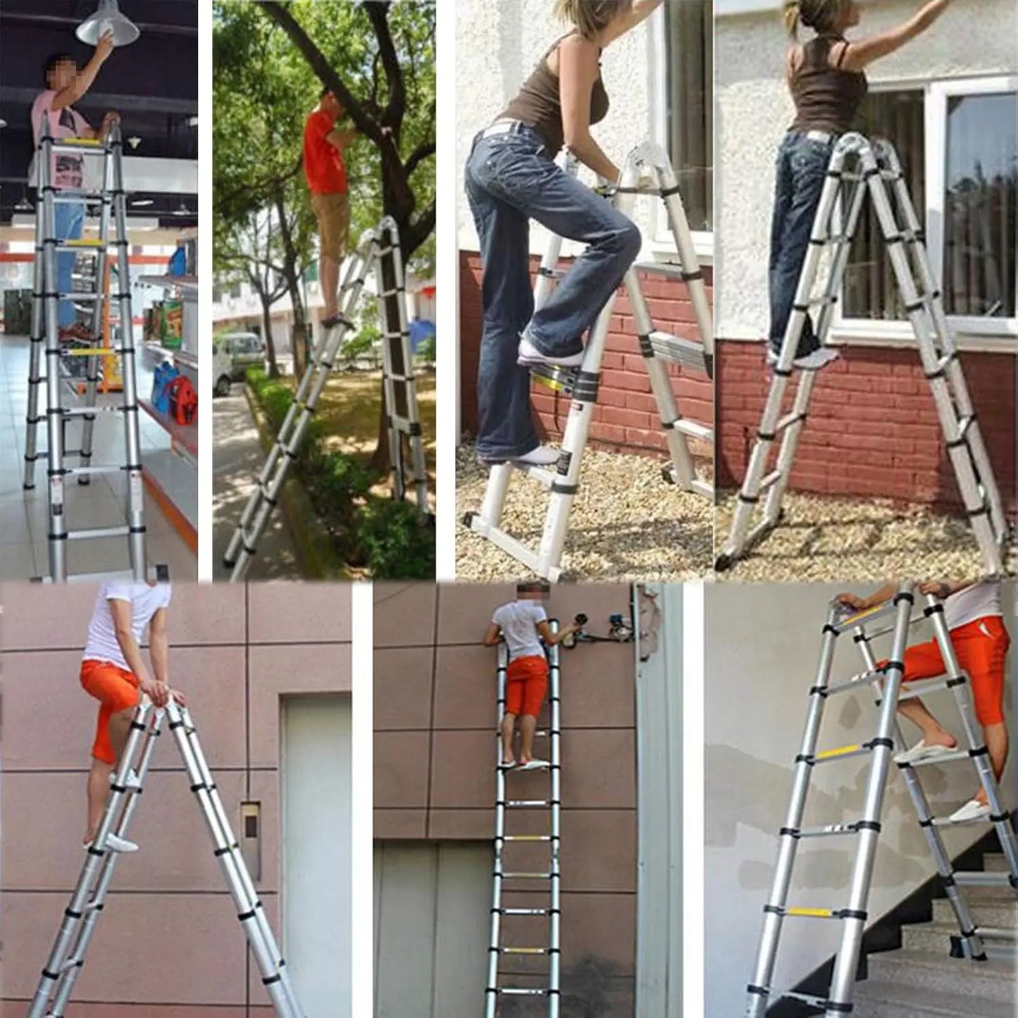Ladder