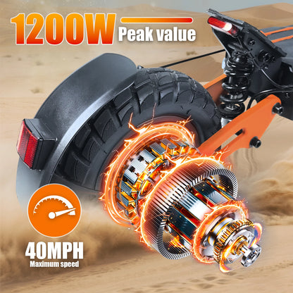 1200W Electric Scooter for Adult