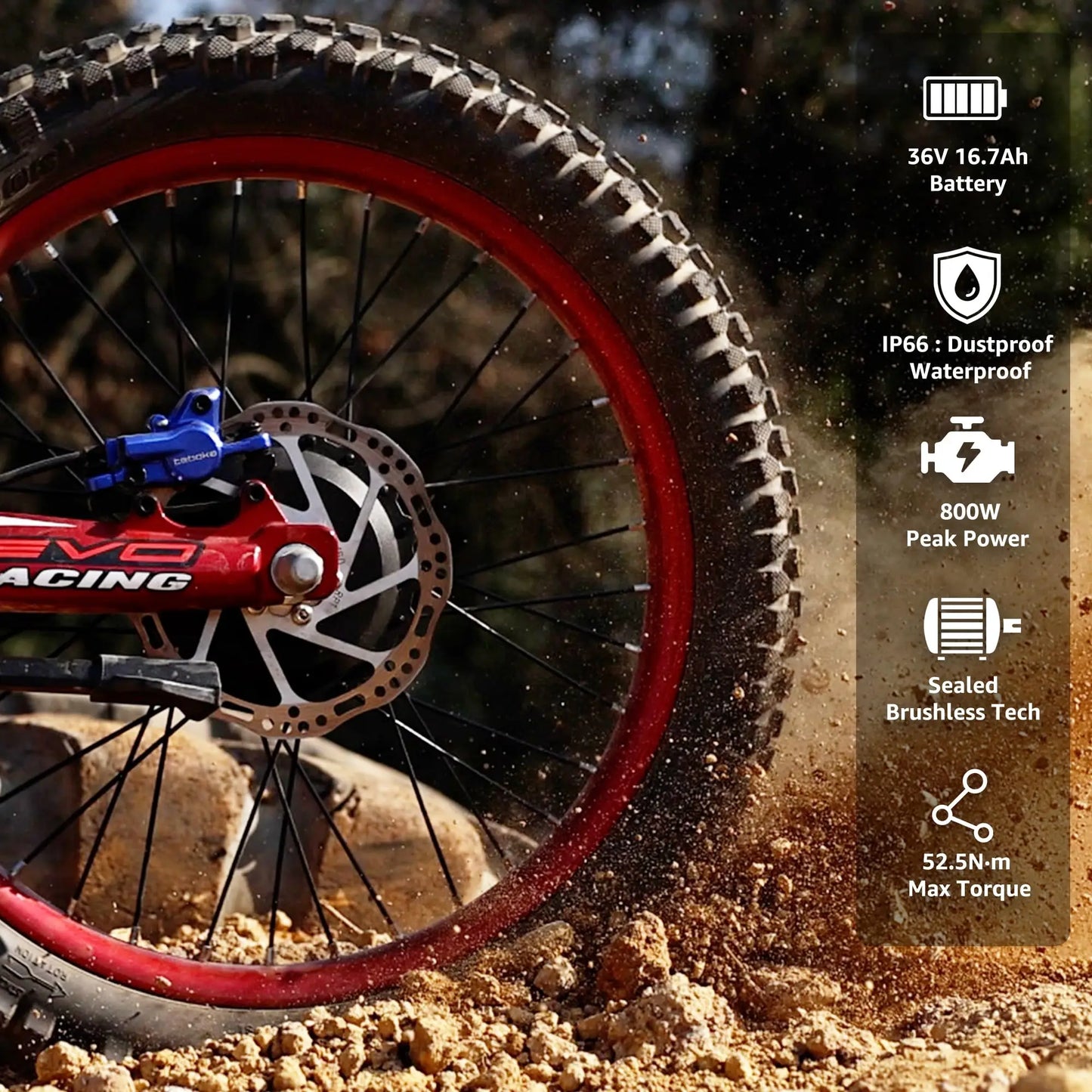 RFN Racing Electric Dirtbike