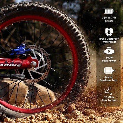 RFN Racing Electric Dirtbike